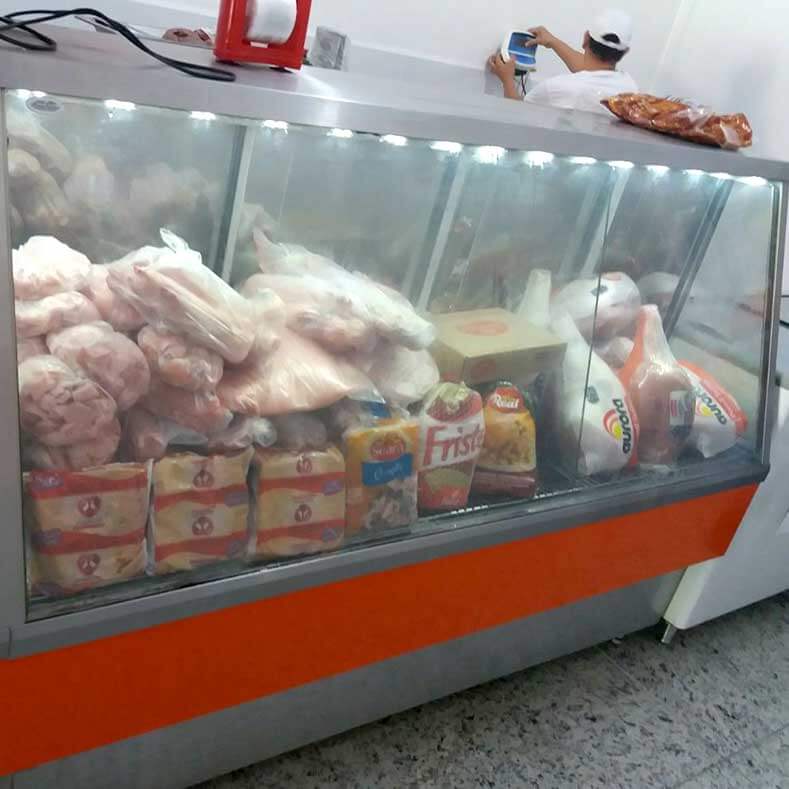 FreeArt - Expositor de carnes congeladas frost free, com vidro frontal insulado e com resistência.